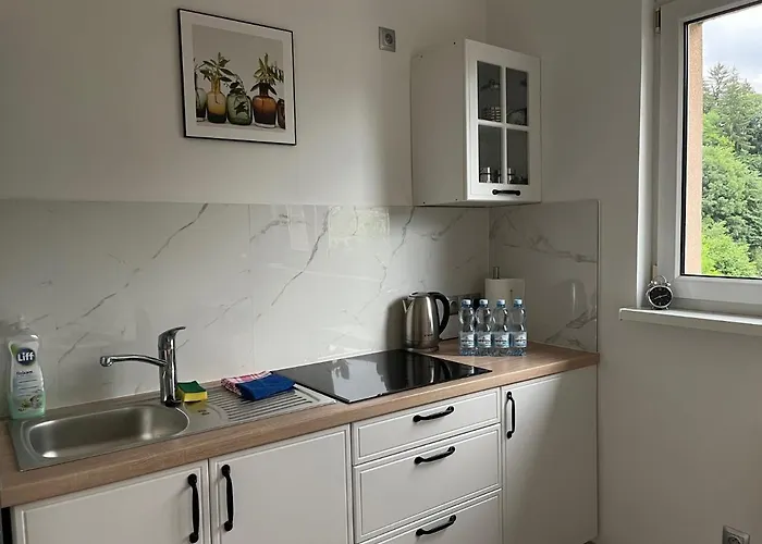 Terka 두슈니키 즈드로지